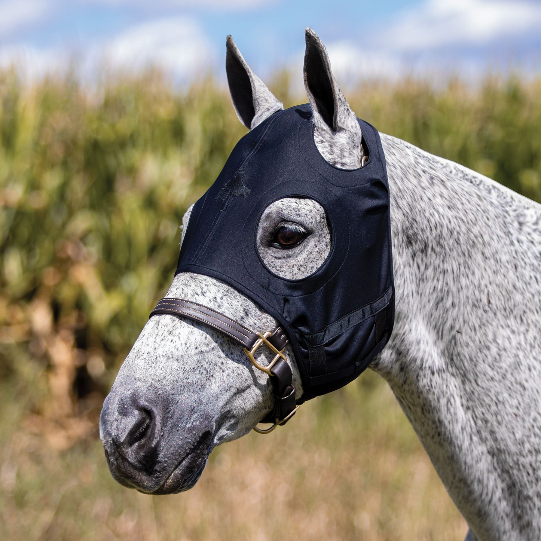 Horse Mask DI
