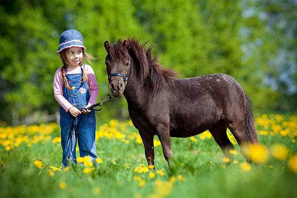Minis Ponies DI
