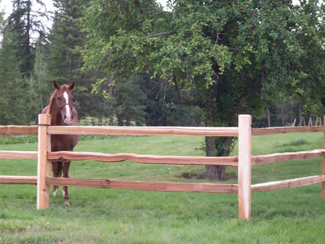 Fencing Supplies DI