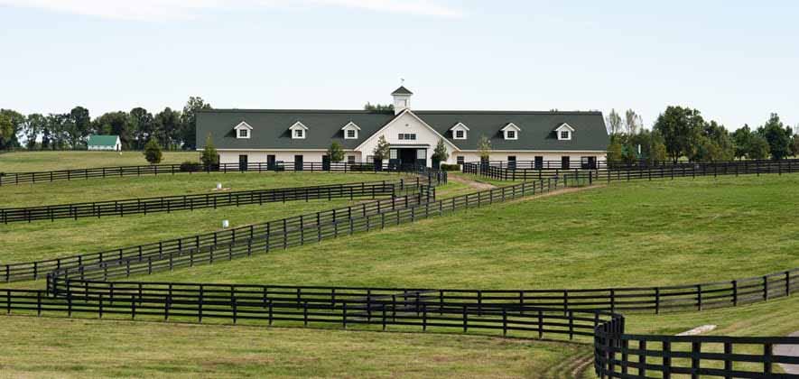 Padua-Stables-farm