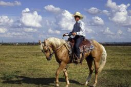 cowboy-quarter-horse-trainer-ranch cowboy-quarter-horse-trainer-ranch
