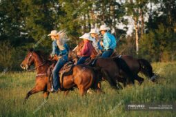 focused_202472872-stock-photo-group-people-riding-horses-field focused_202472872-stock-photo-group-people-riding-horses-field
