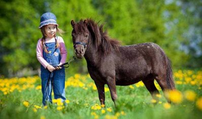 Child and small horse in the field at spring. Child and small horse in the field at spring.